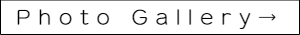 ウェディングフォトギャラリー