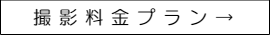料金プラン